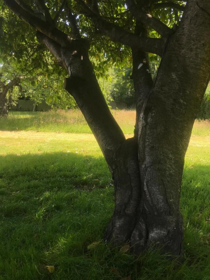 Redbrook Farm Bnb - Gateway To The New Forest Фордингбридж Экстерьер фото