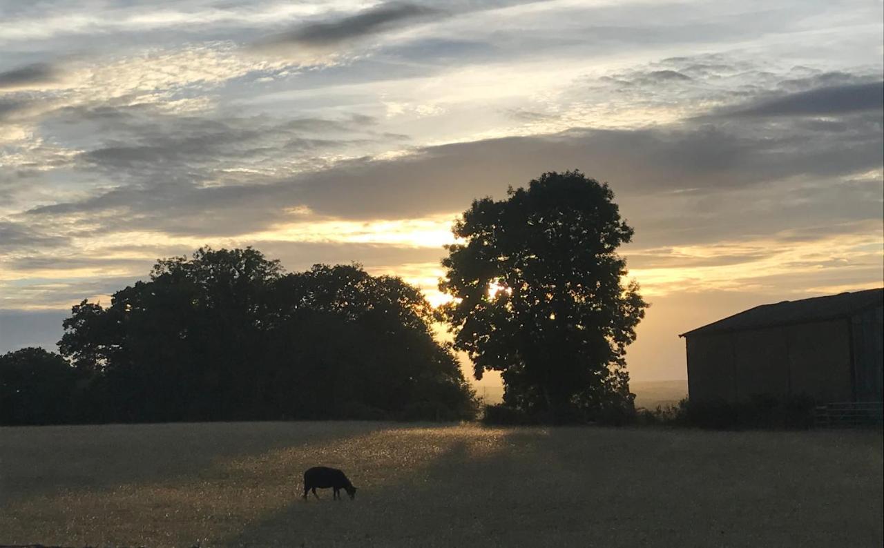 Redbrook Farm Bnb - Gateway To The New Forest Фордингбридж Экстерьер фото