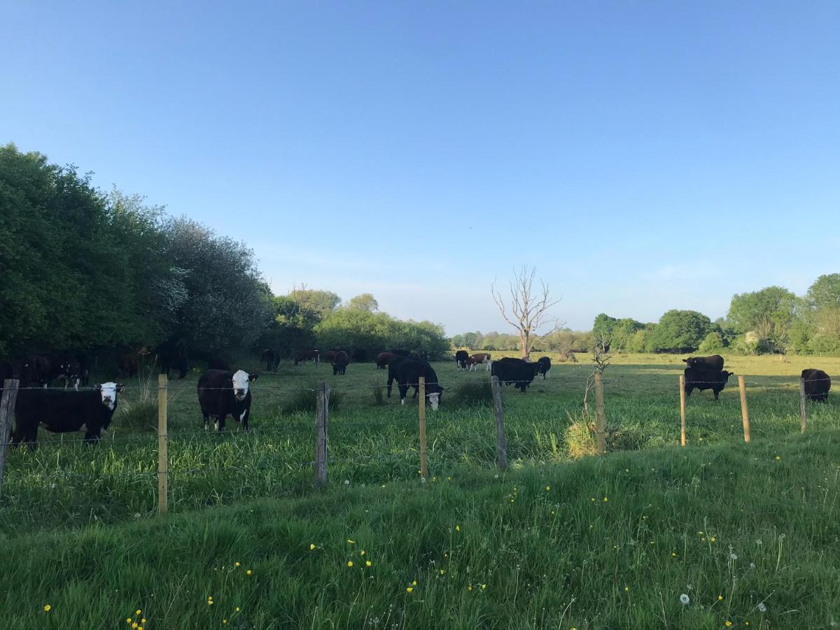 Redbrook Farm Bnb - Gateway To The New Forest Фордингбридж Экстерьер фото