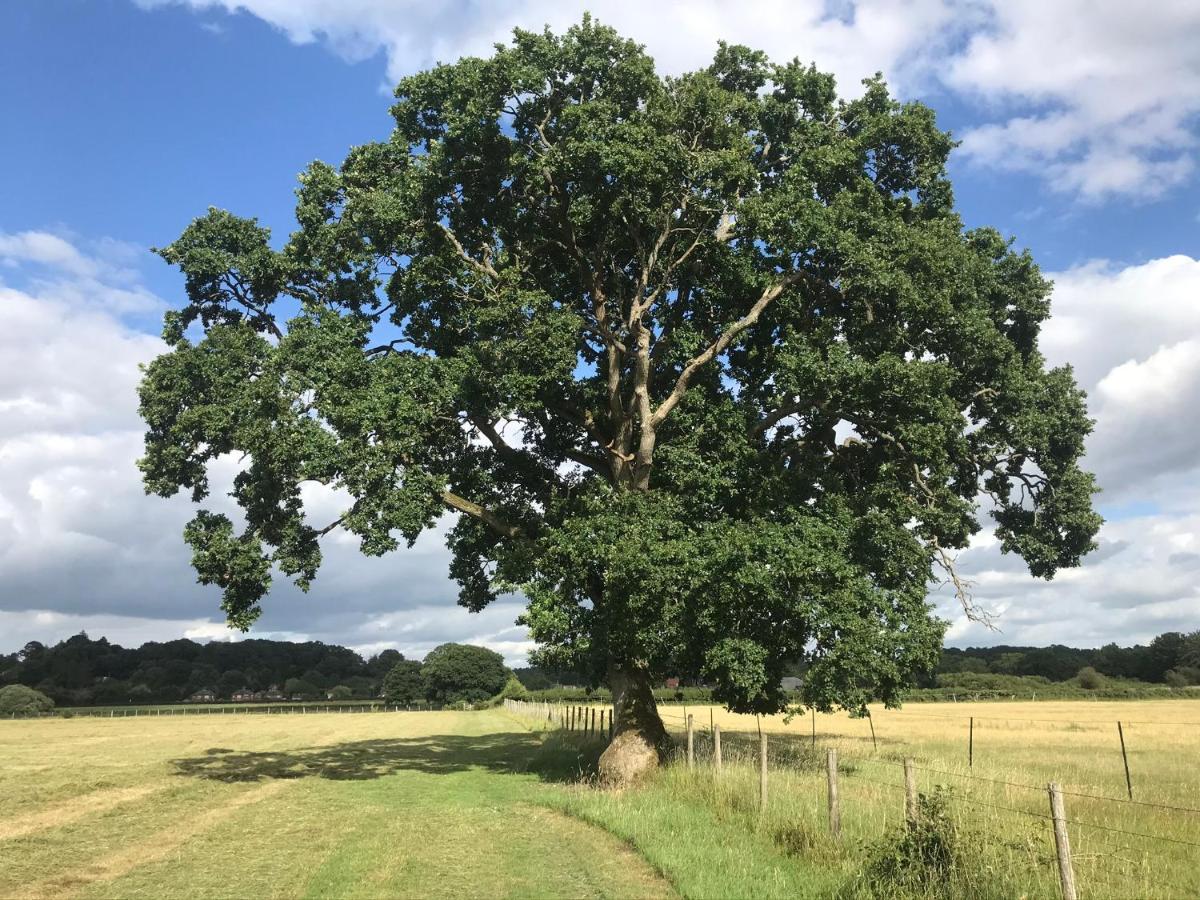 Redbrook Farm Bnb - Gateway To The New Forest Фордингбридж Экстерьер фото