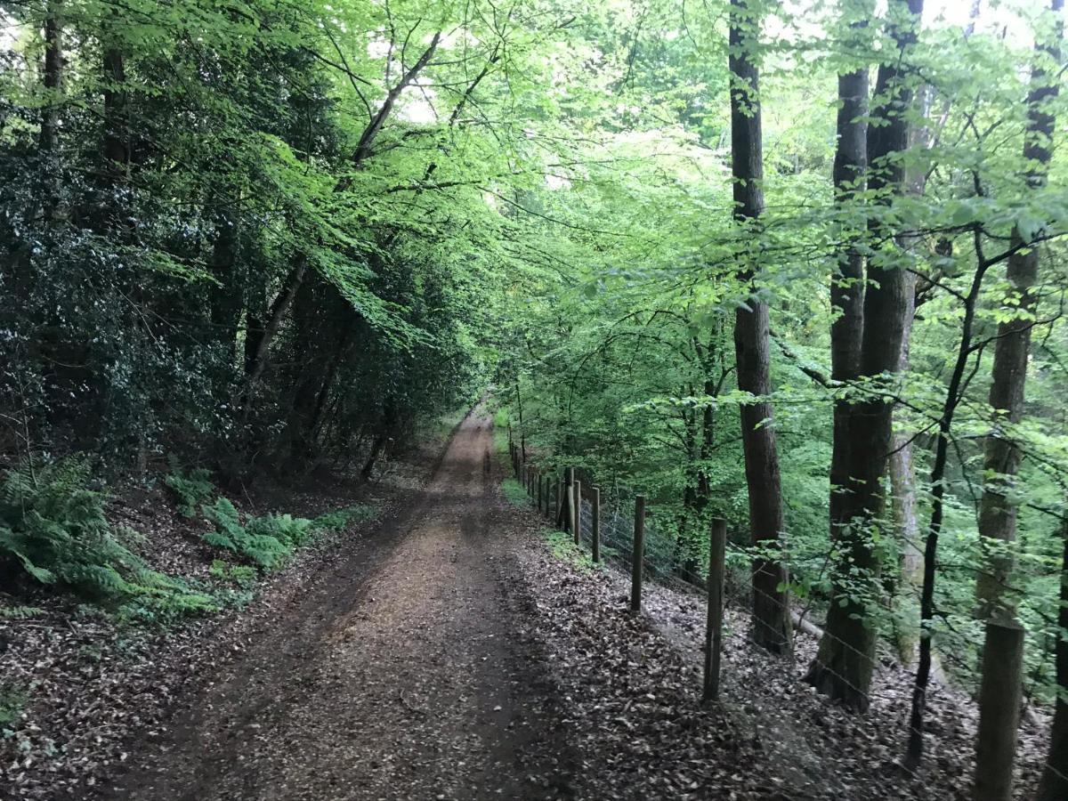 Redbrook Farm Bnb - Gateway To The New Forest Фордингбридж Экстерьер фото