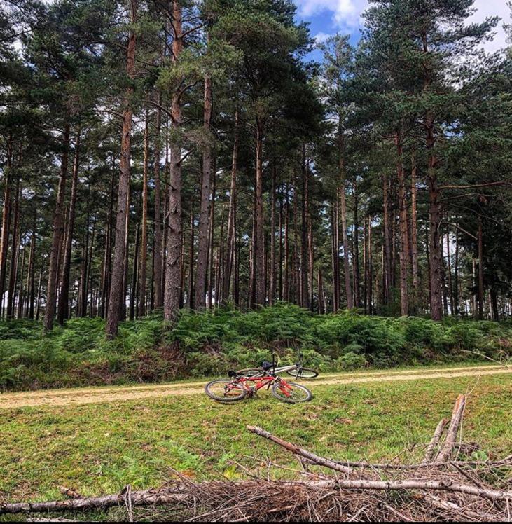 Redbrook Farm Bnb - Gateway To The New Forest Фордингбридж Экстерьер фото