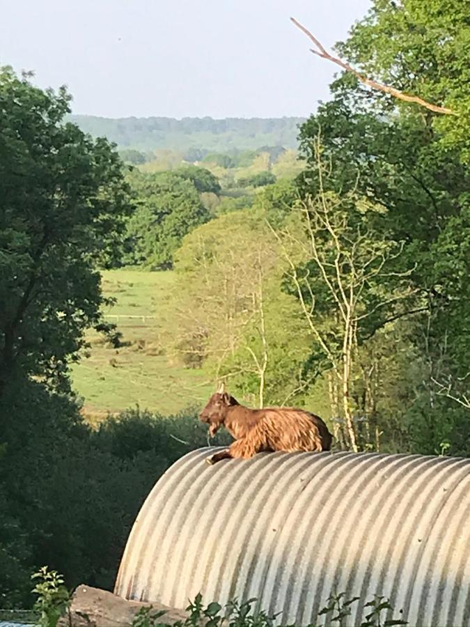 Redbrook Farm Bnb - Gateway To The New Forest Фордингбридж Экстерьер фото